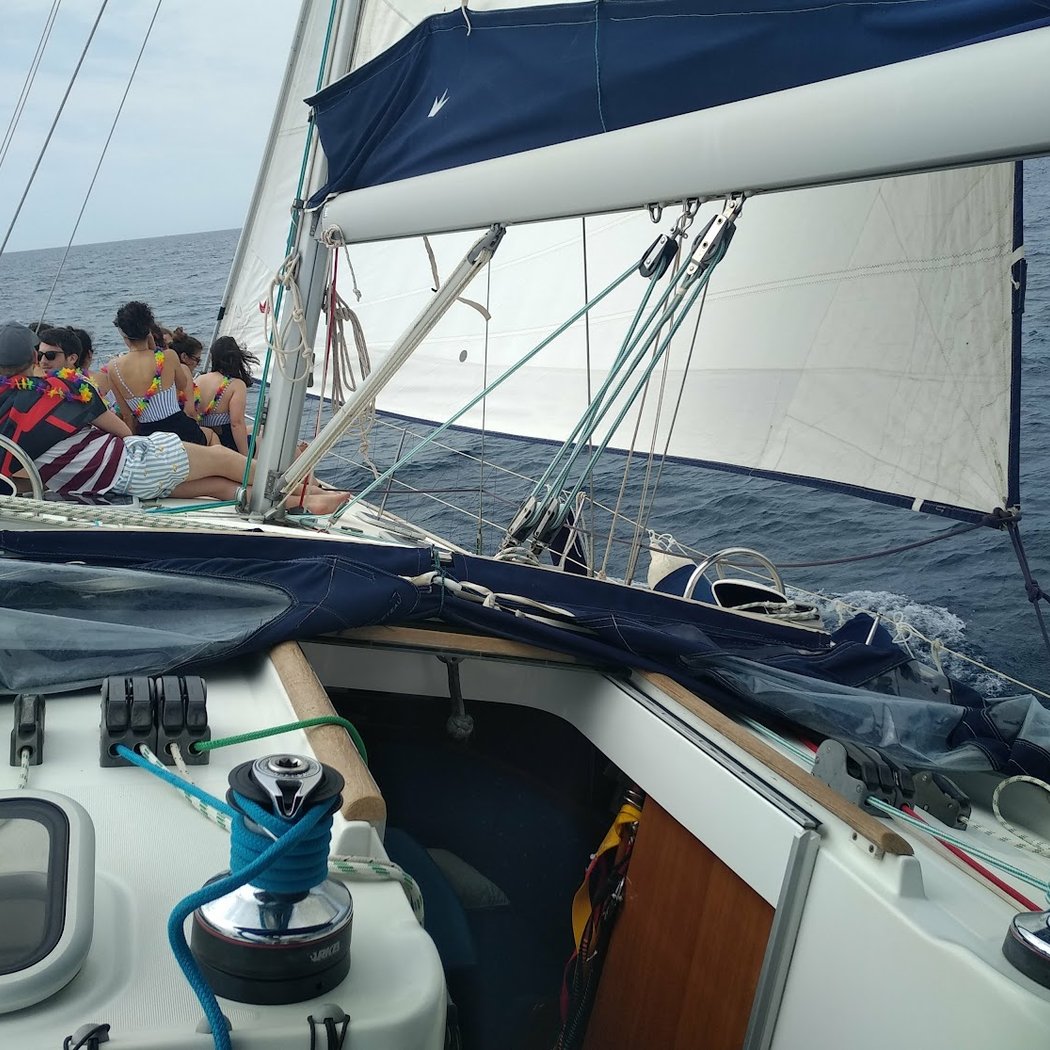 SORTIES VOILIER - SAILING 83 - Journée conviviale Voile & Environnement - Var, Saint Mandrier, Six Fours, La Seyne 3