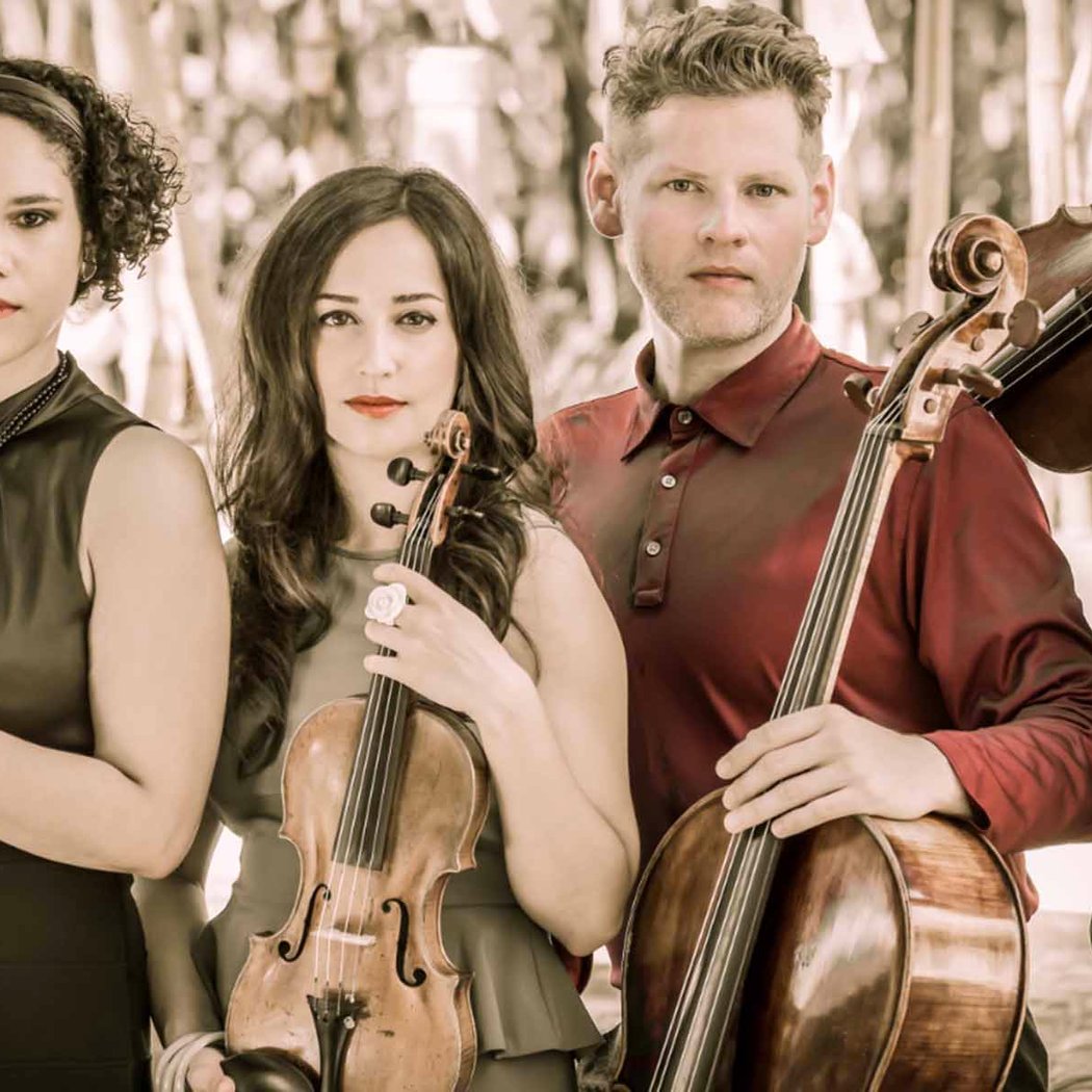Catalyst Quartet 1