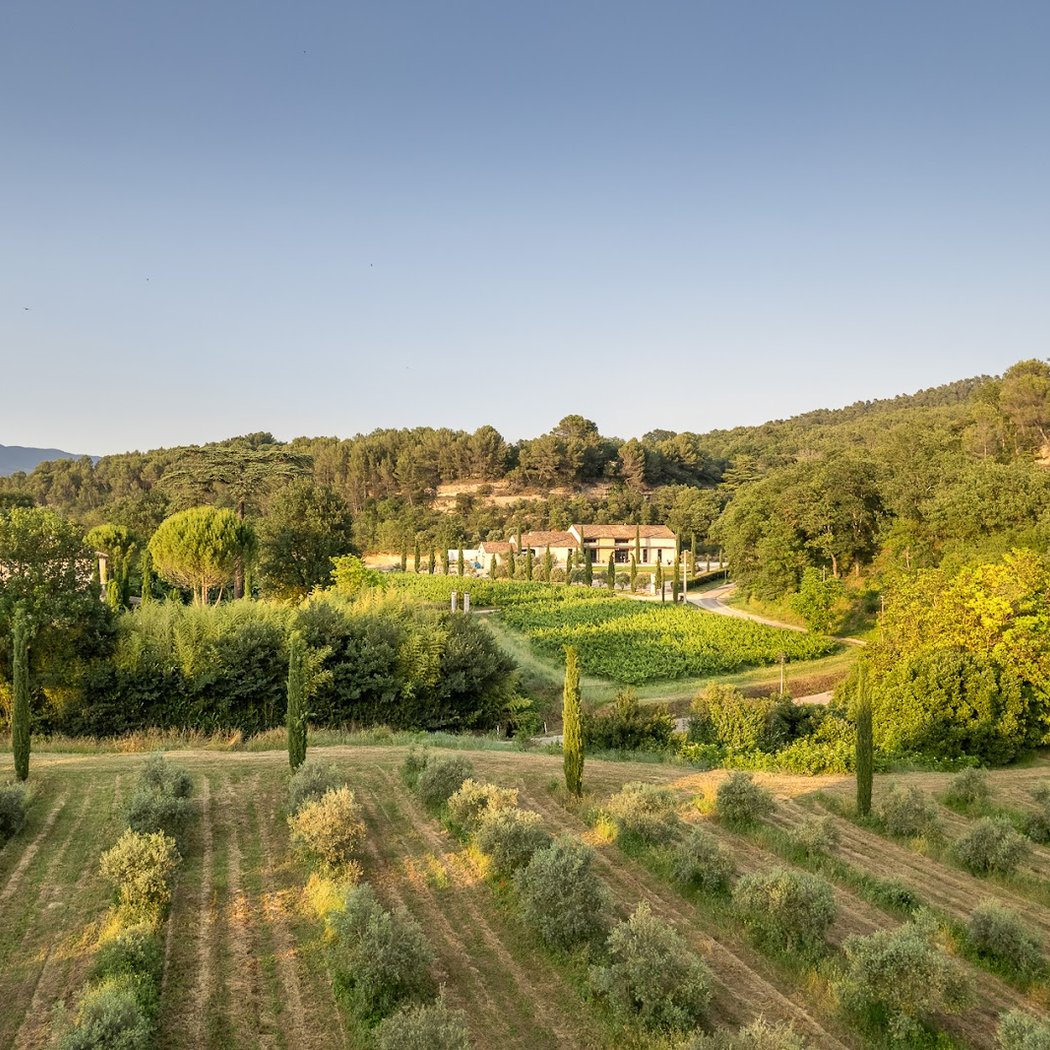 Moulin à huile d'olive & Domaine Bastide du Laval 1