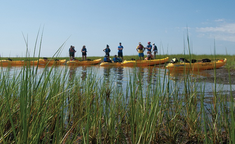 Sedge Island Kayak EcoTour 2