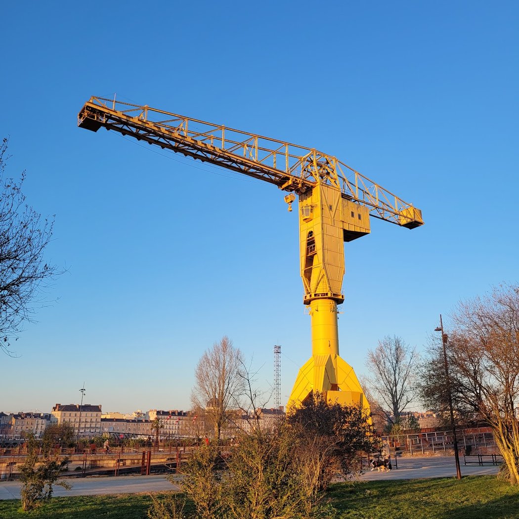 Grue Titan Jaune 4