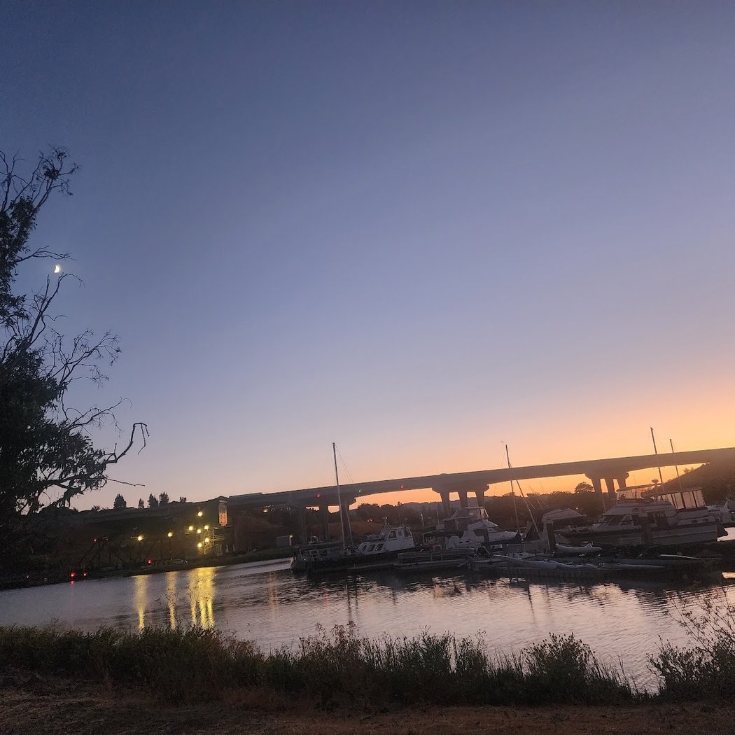 Petaluma Marsh 1