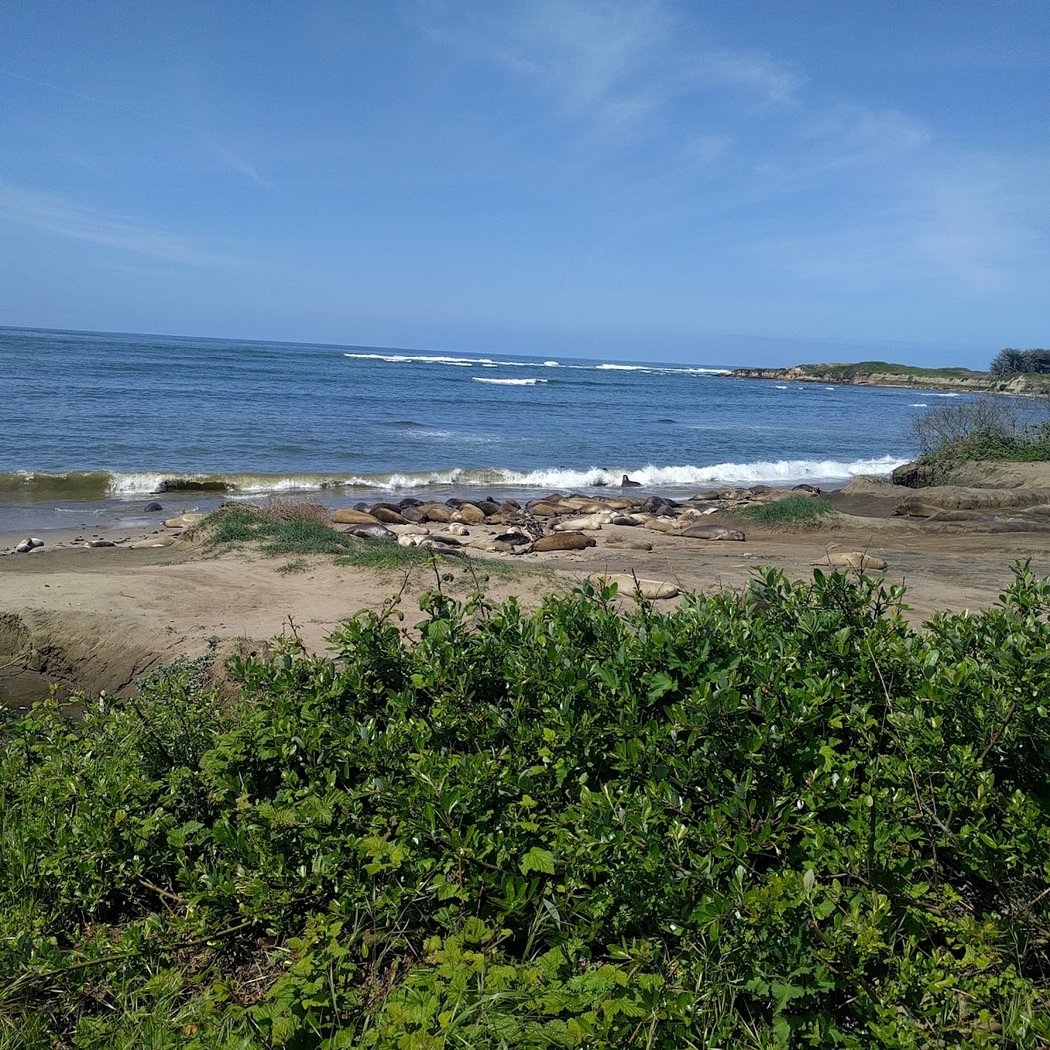 Point Año Nuevo 2