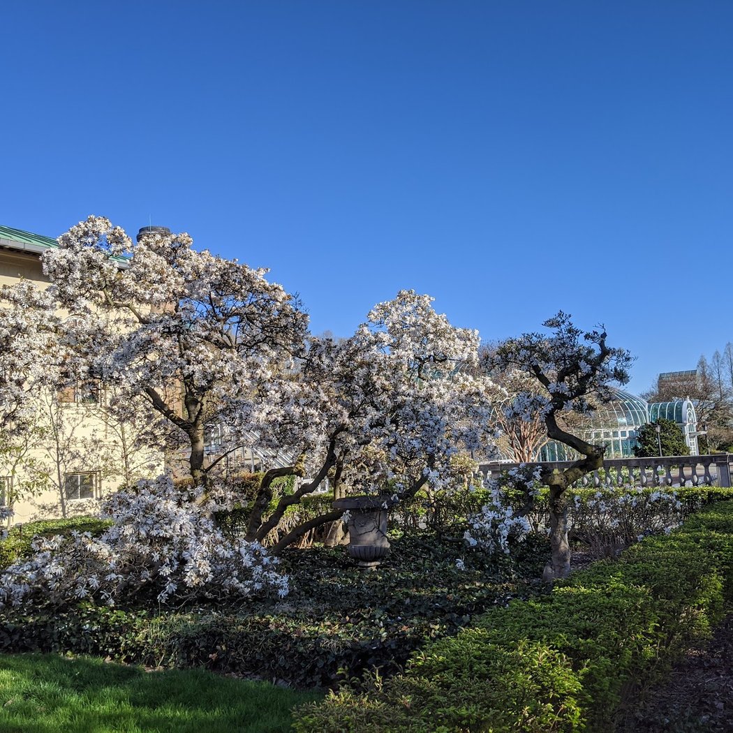Magnolia Plaza 3