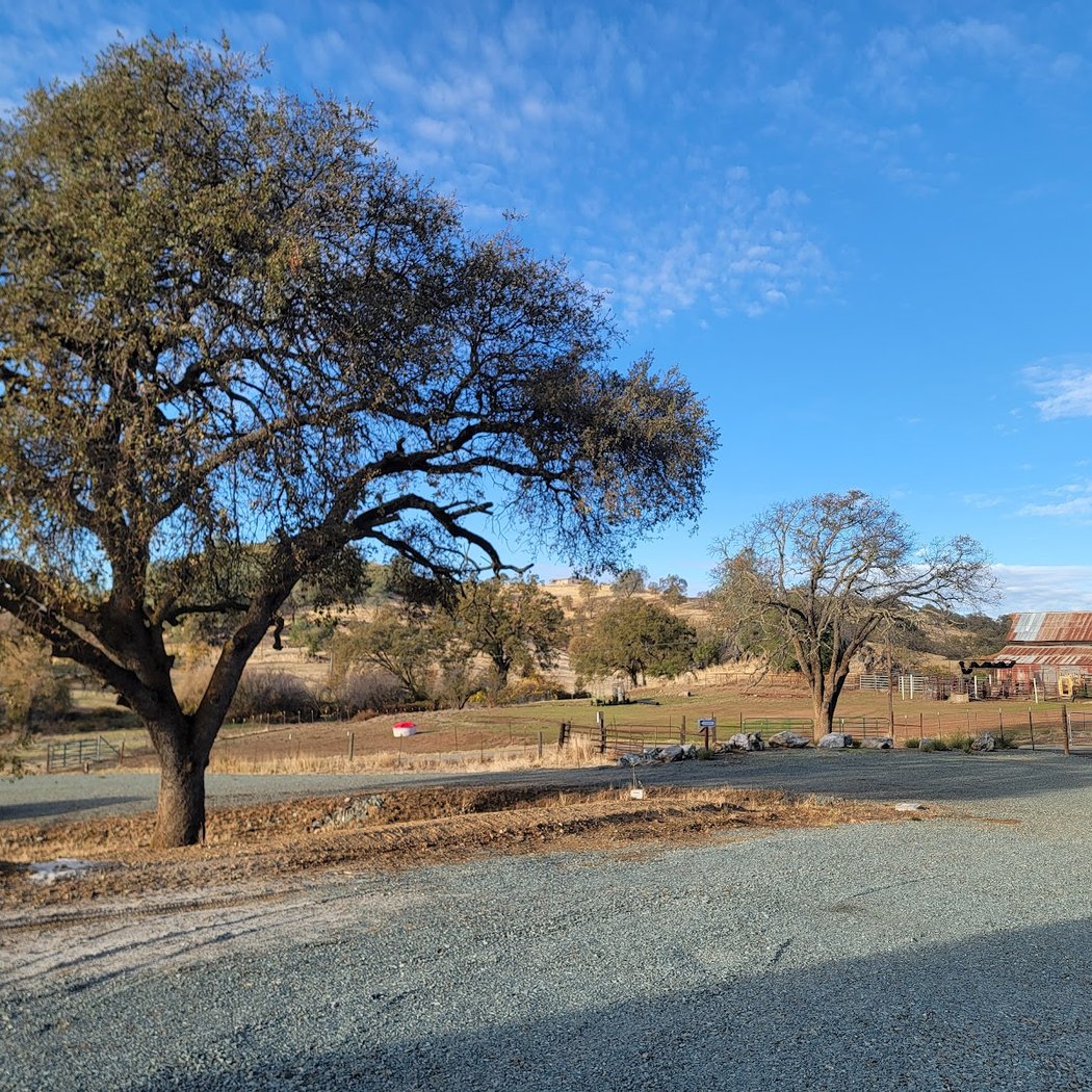 Domenico Winery + Vineyards - Amador 5
