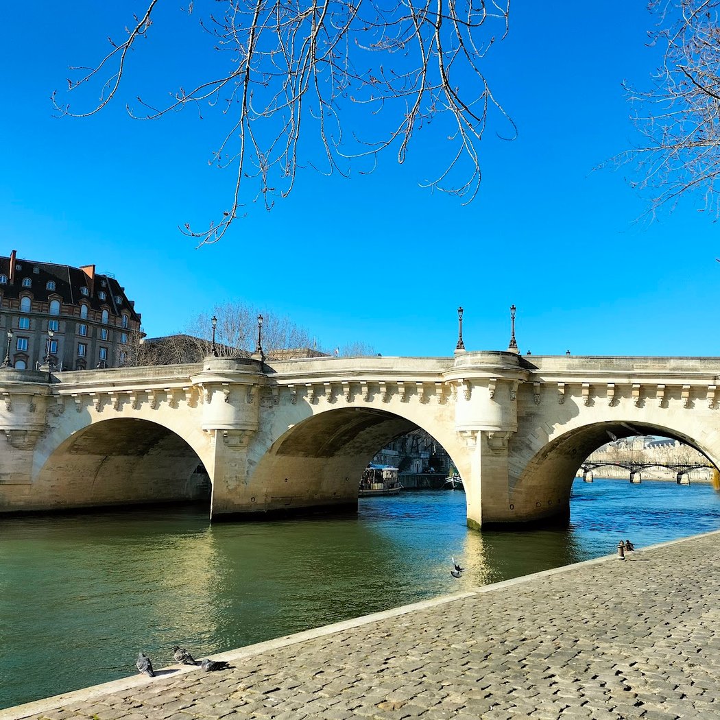 Pont-Neuf Transformation by French Artist 2