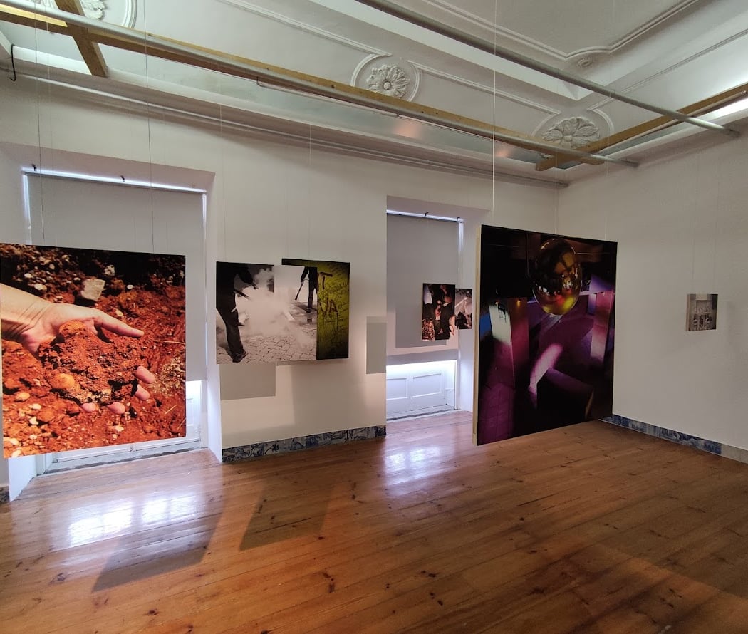 Zé dos Bois gallery 1