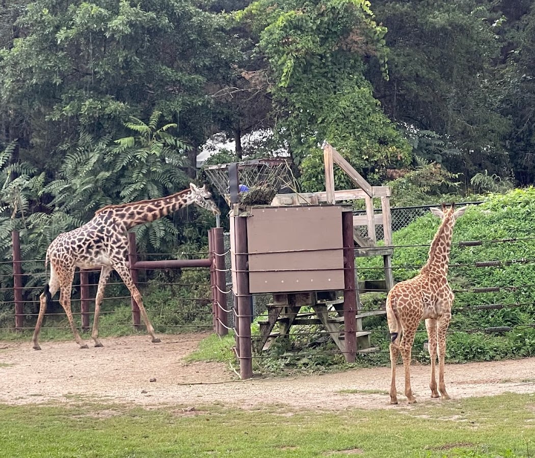 Franklin Park Zoo 2