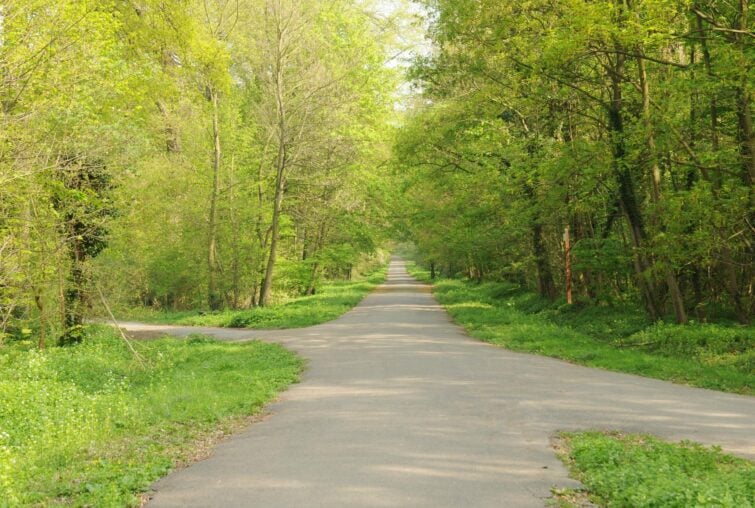 Forêt domaniale de Saint-Germain 4