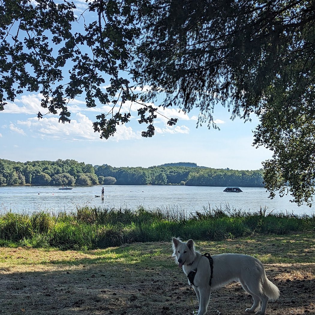 Lake Saint Pardoux 2
