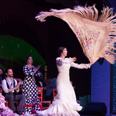 Esencia de Sevilla: Cerámica, Flamenco y Artesanía 1