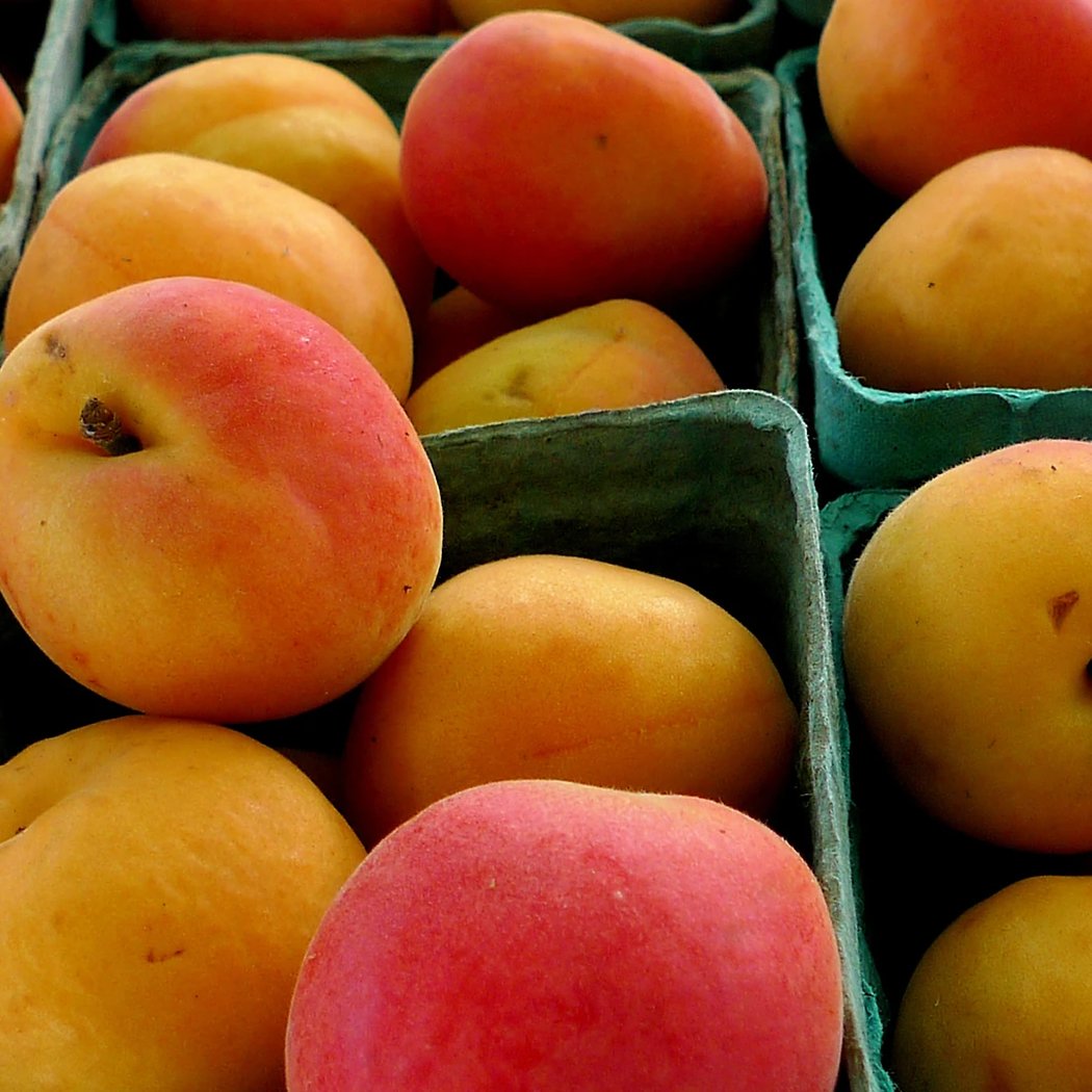 Saint George Greenmarket 1