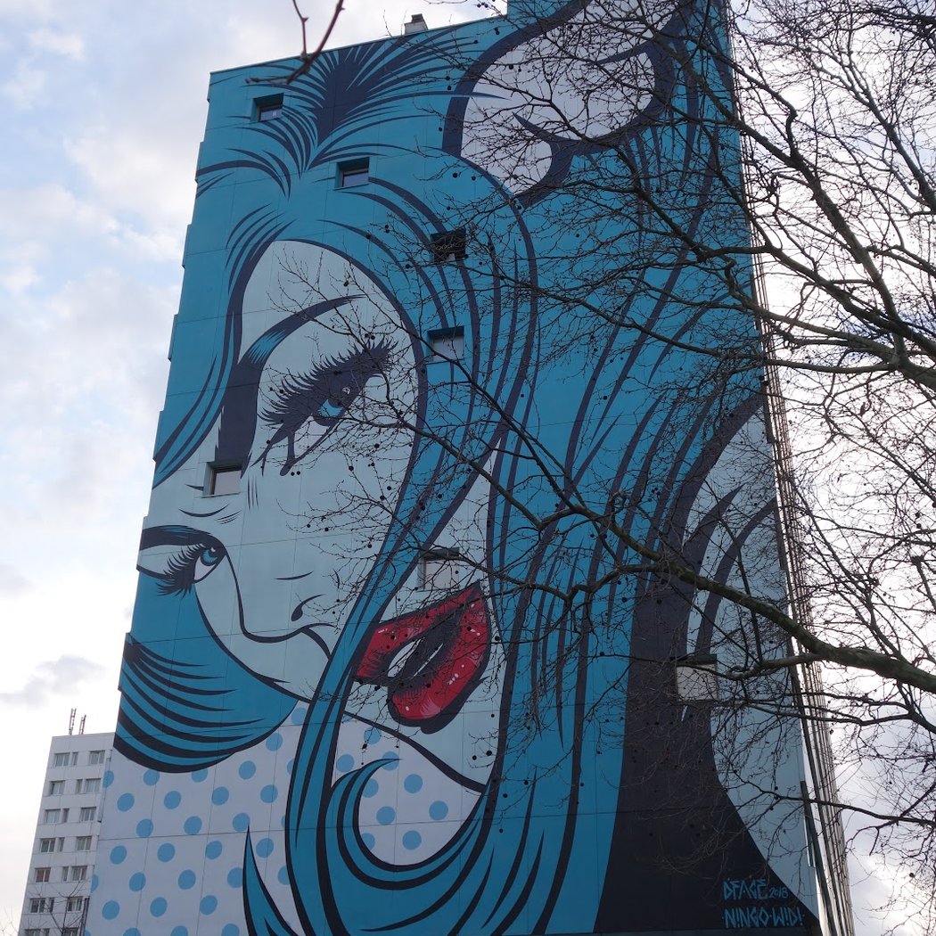 Fresque "Le Chat" de C215 3