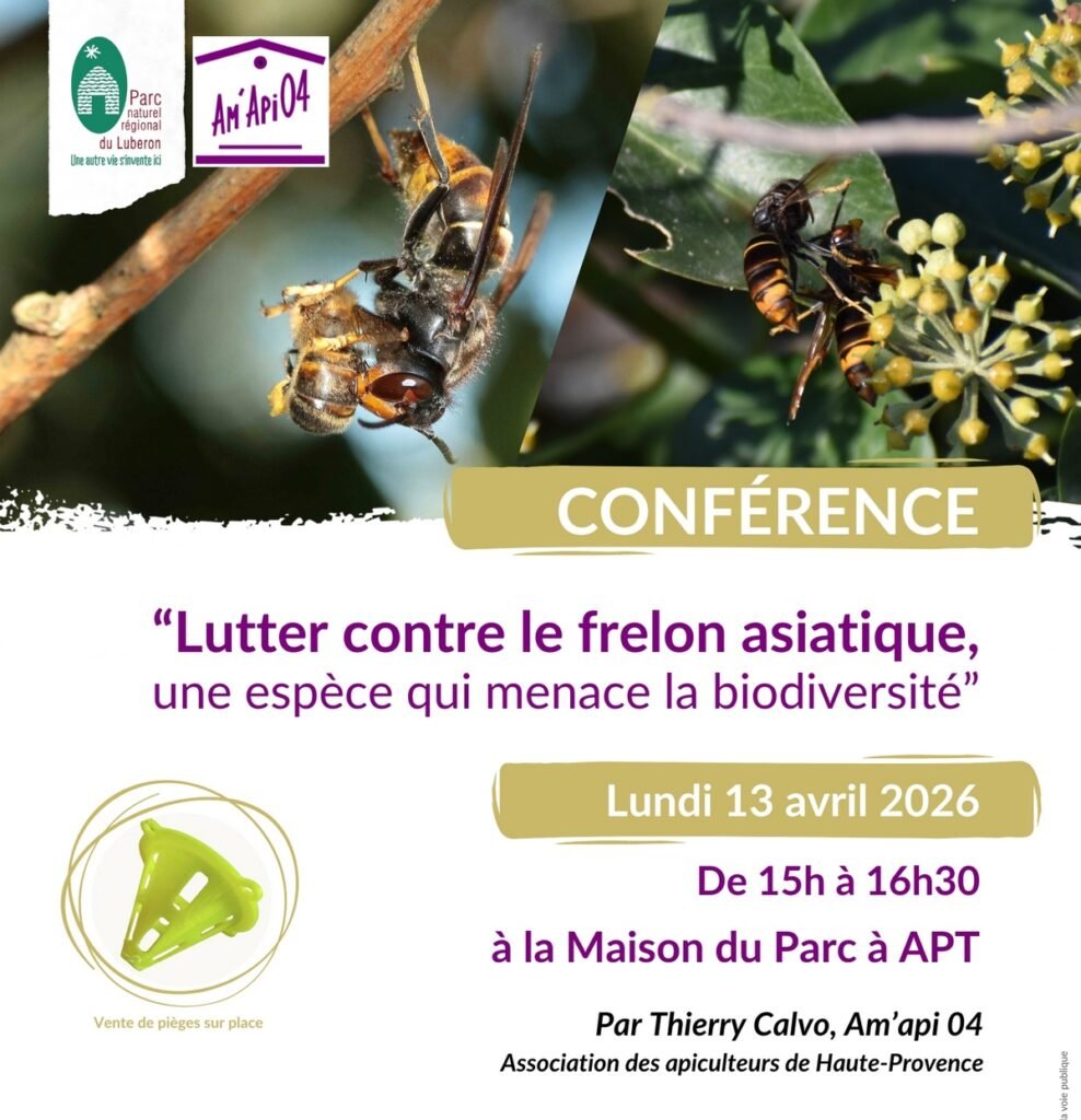 Conférence "Lutter contre le frelon asiatique" 1