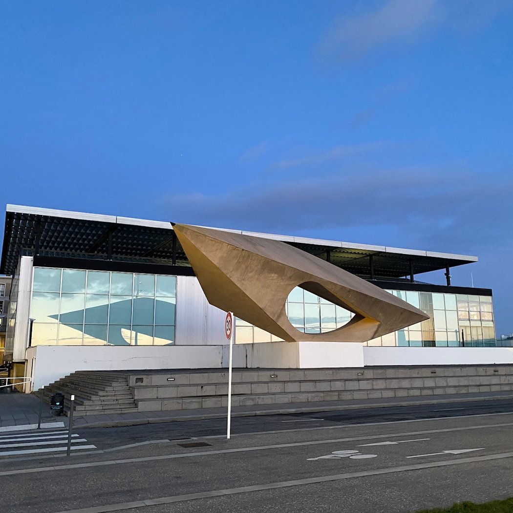 Museum of Modern Art André Malraux 4