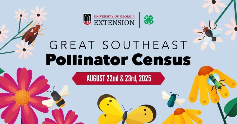 Great Southeast Pollinator Census 1