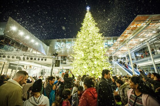 City Center’s Tree Lighting Celebration 1