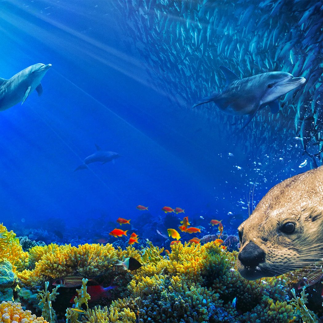 Oceans 3D: Our Blue Planet 1