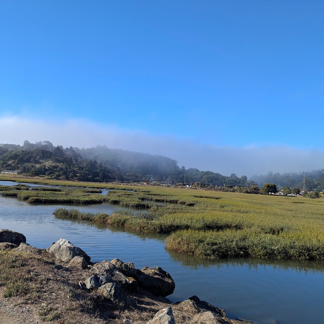 Bothin Marsh Preserve 2