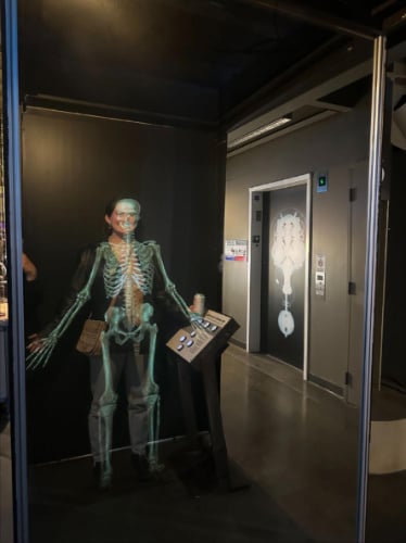 After Dark special exhibitions 3