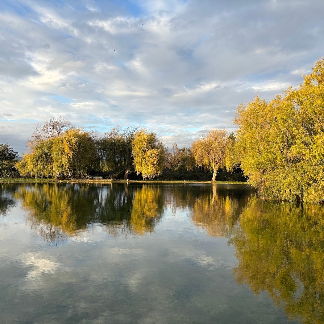 Etang des Saules 2