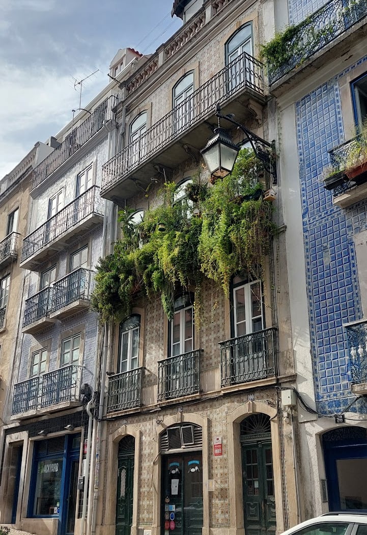 Estrela 3