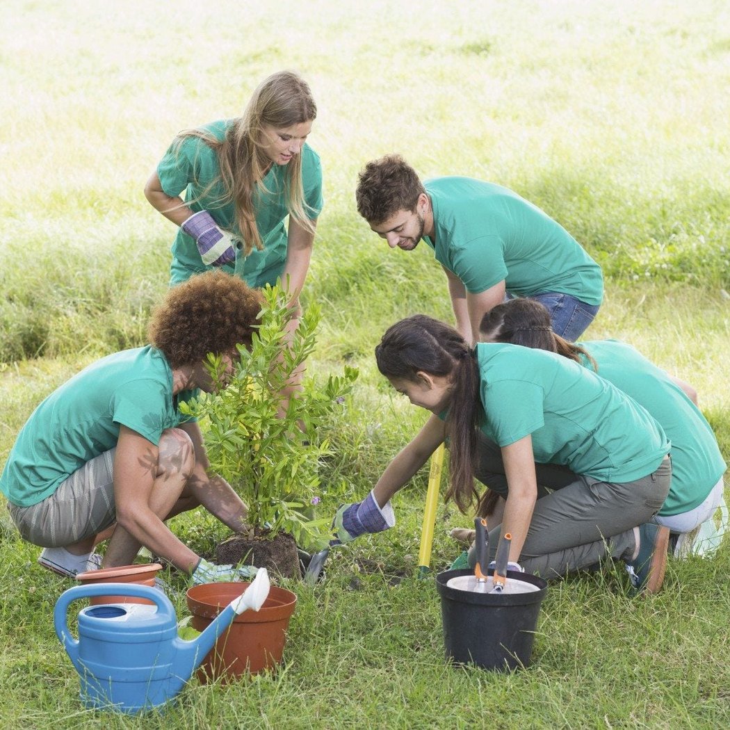 Help in a Garden with YLD & TOV 1