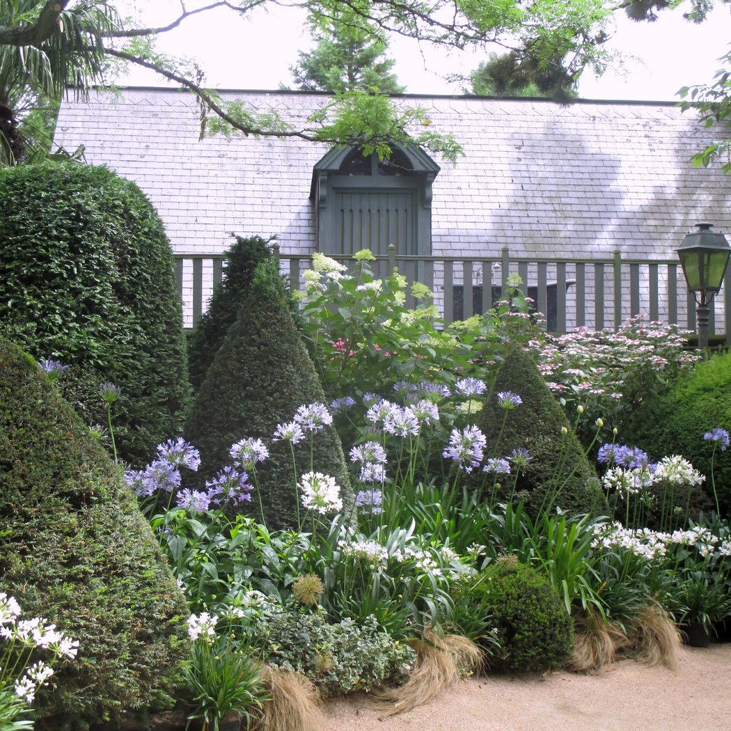 Le Jardin Agapanthe 2