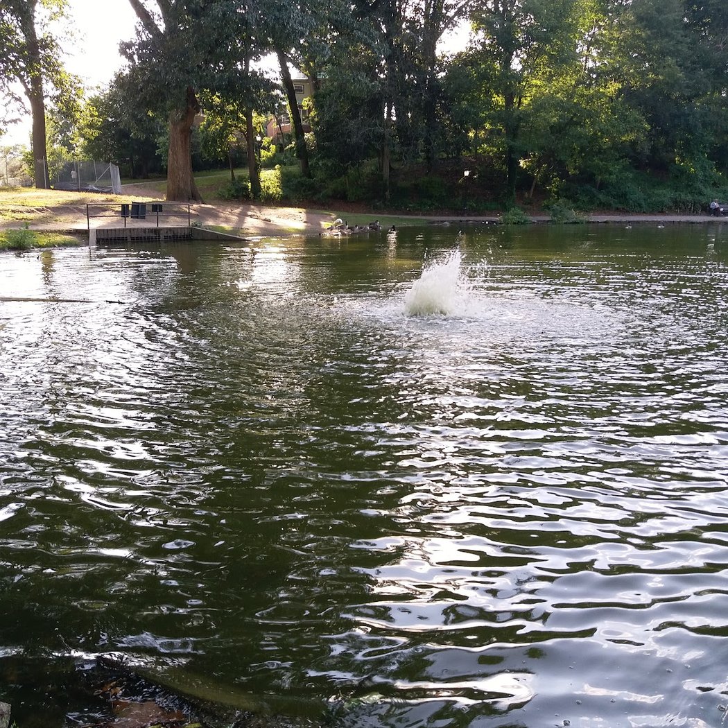 Captain Tilly Park 3