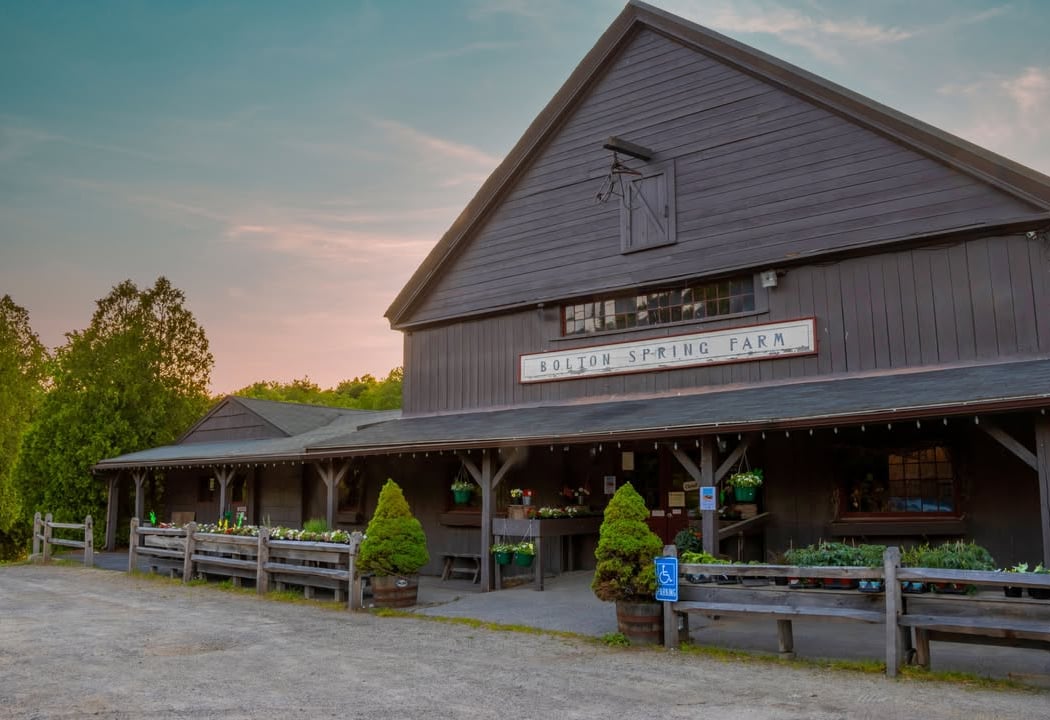 Bolton Spring Farm 3