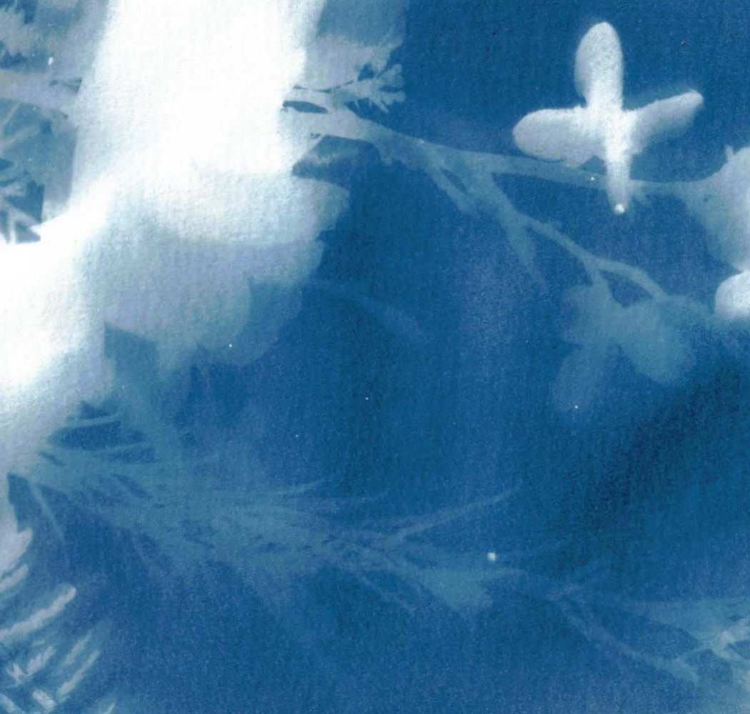Intro to Cyanotypes Workshop 2