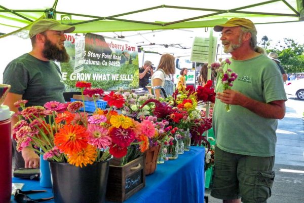 Petaluma Farmers' Market 1
