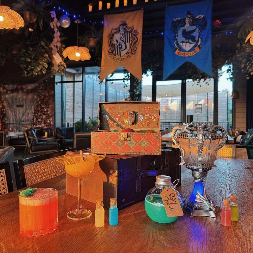 Hogwarts and Harry Potter Themed Experience