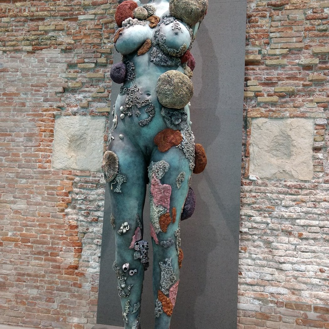 Balade Membership à Venise 2