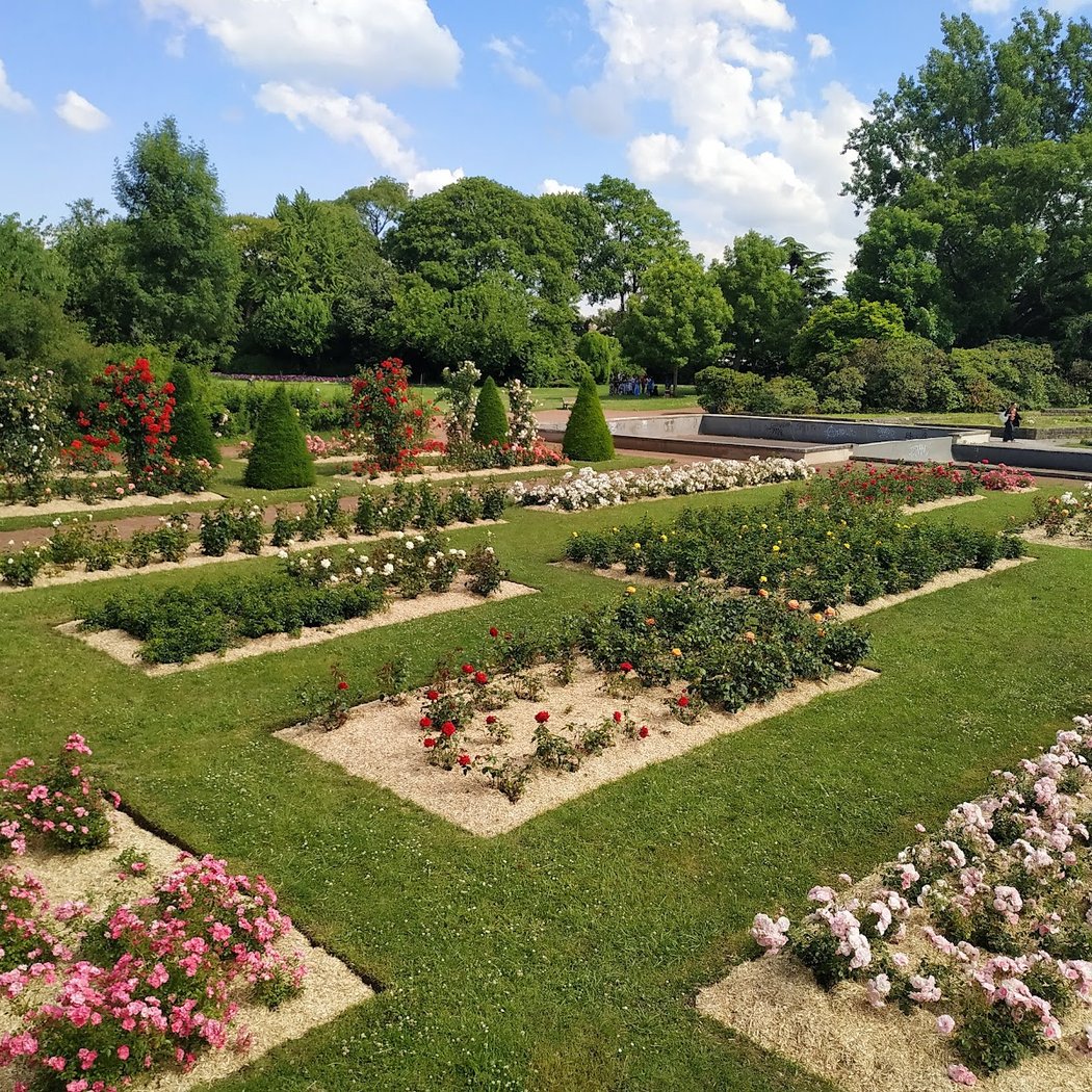 Botanical Garden 3
