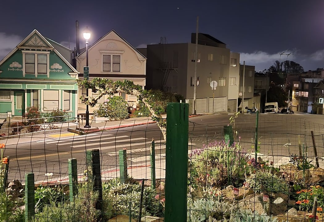The Neighborhood Garden 3