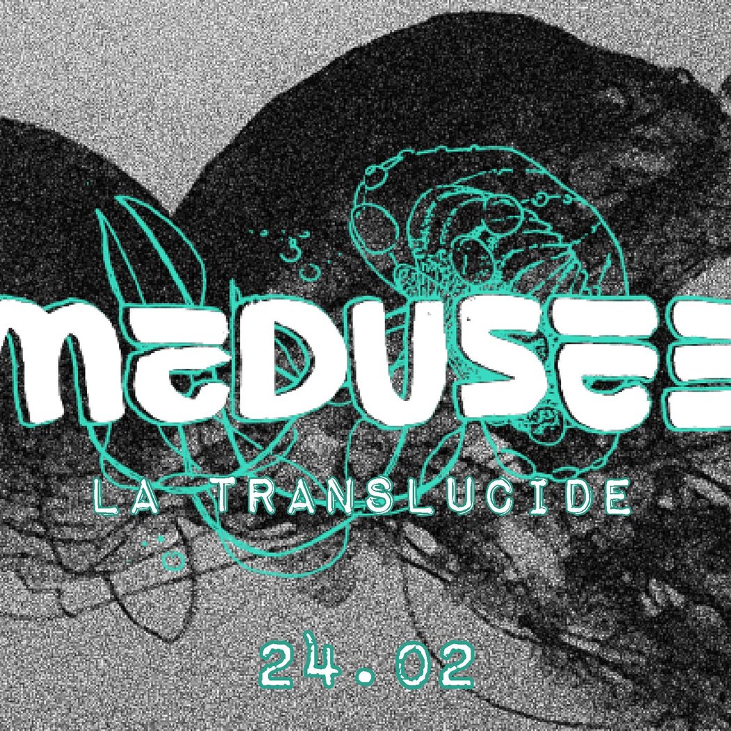 Médusée: la translucide 1