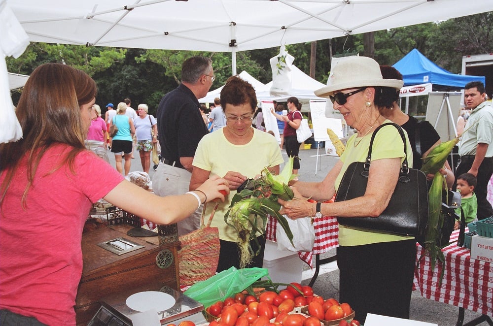 Down to Earth Rye Farmers Market 3