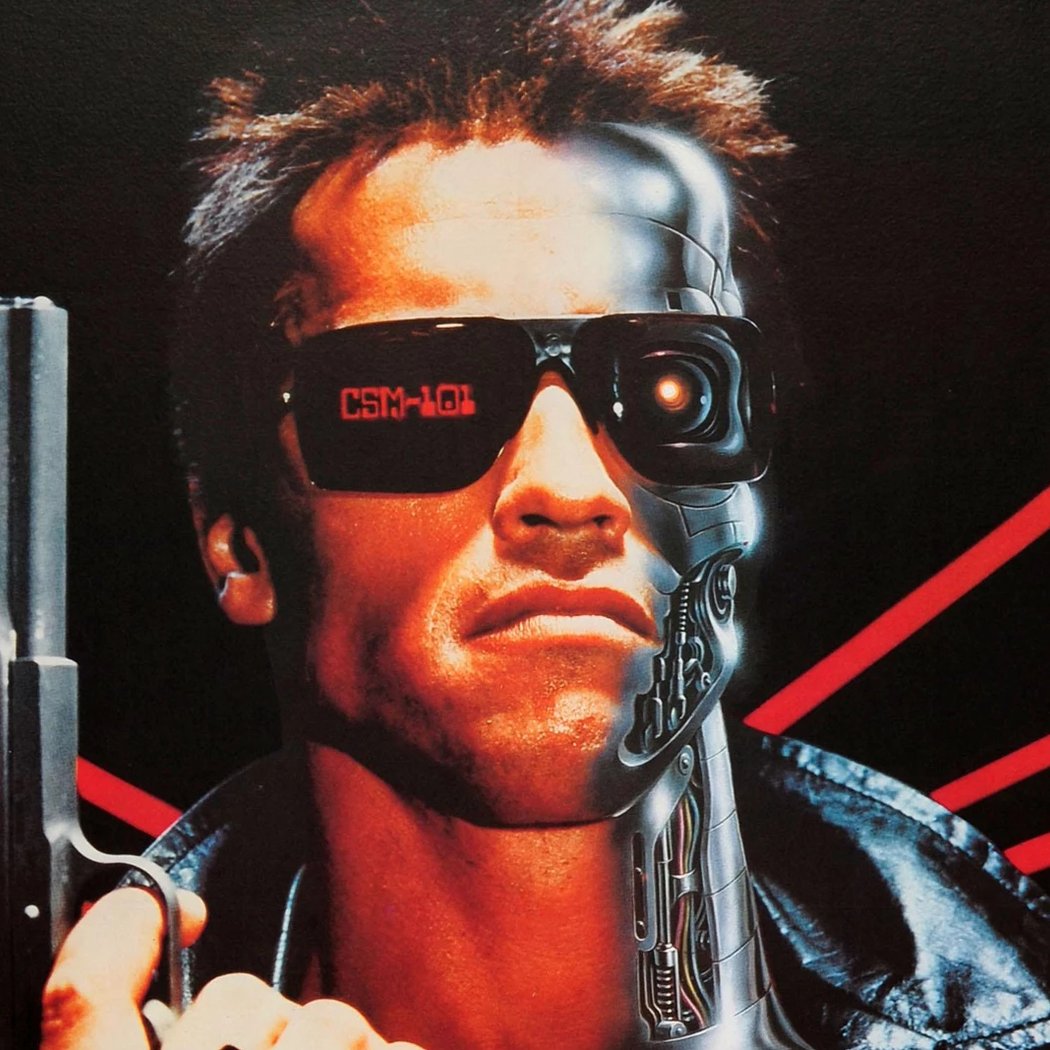 The Terminator at Films with a View 1