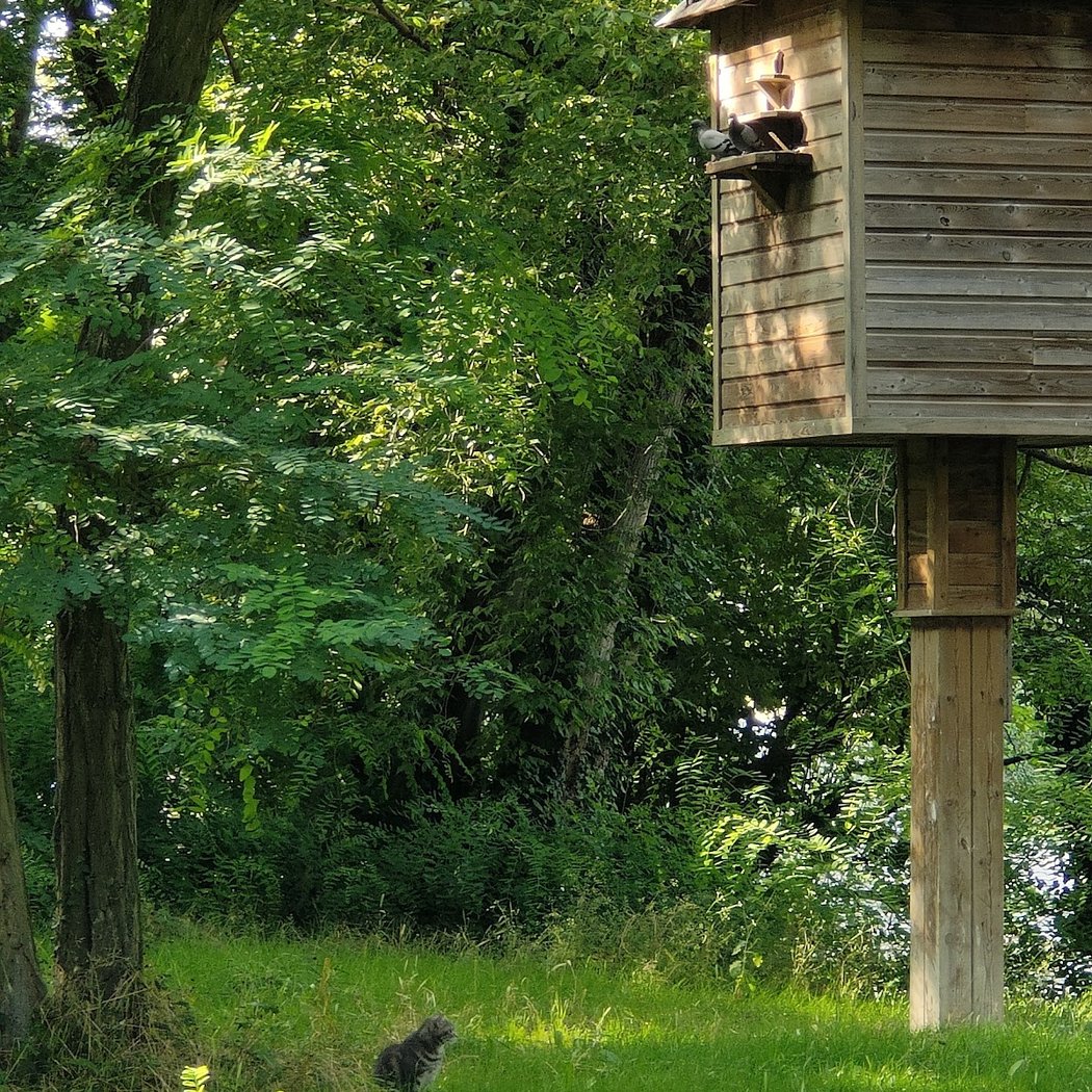 Accès Jardin Public de l'Avre 3