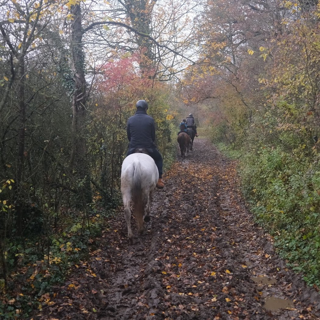 Balades À Cheval À Chantilly 3