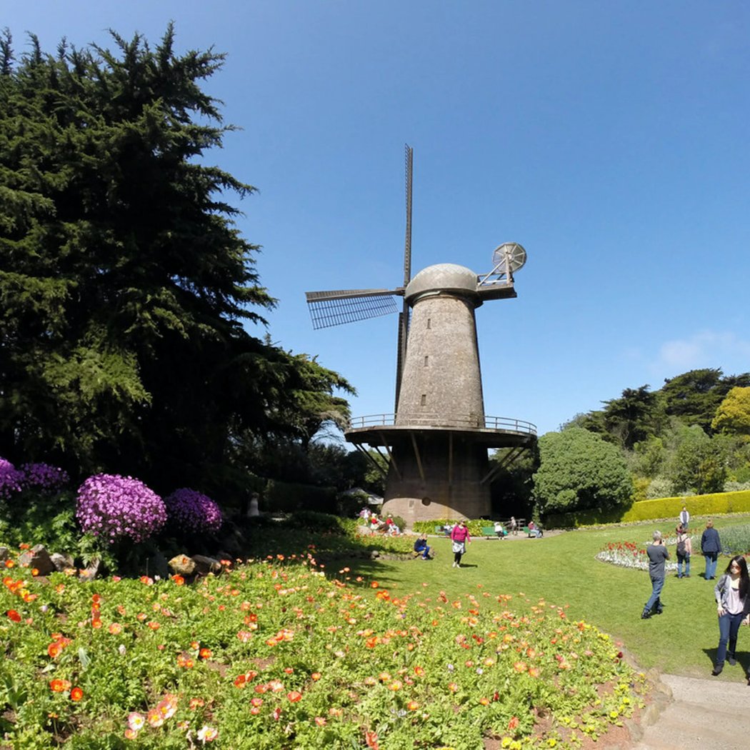 Queen Wilhelmina Garden 5