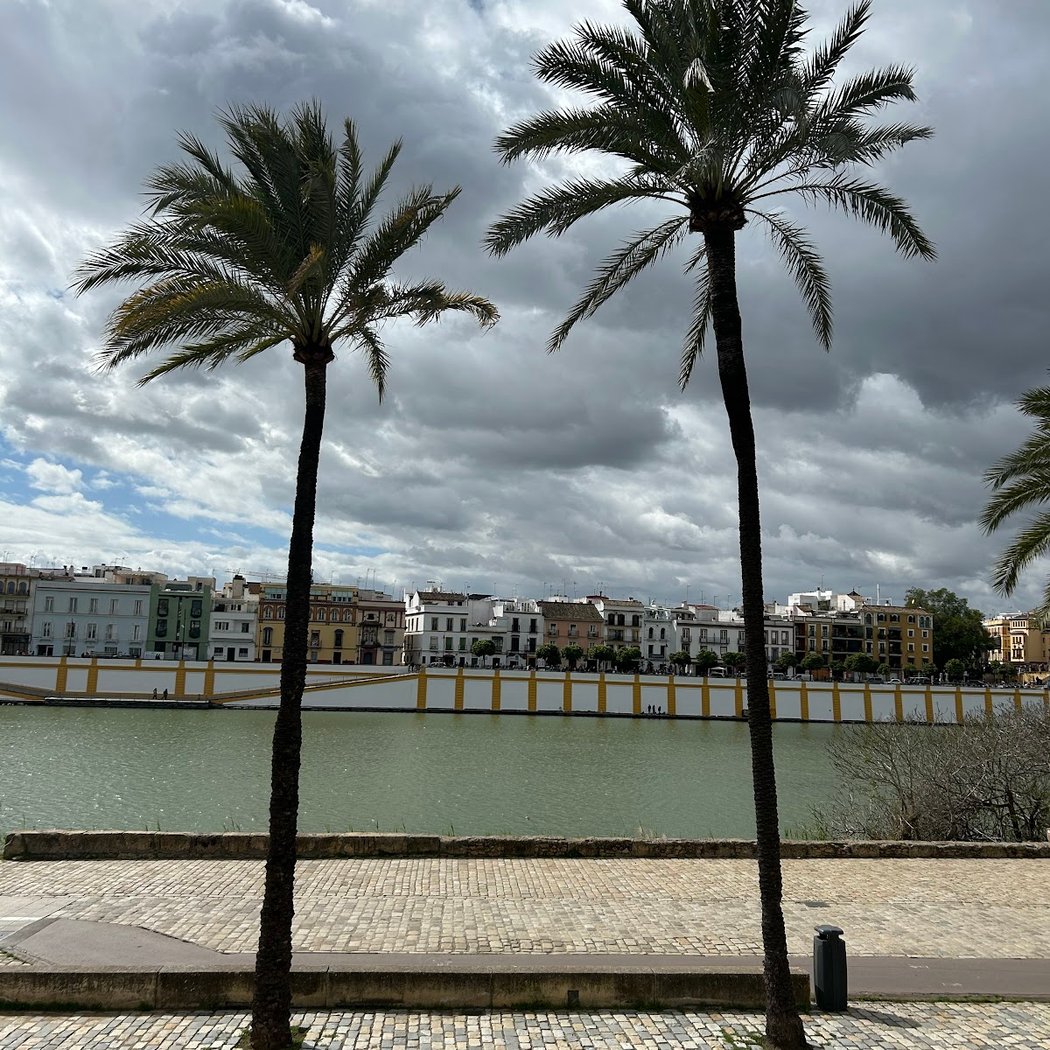 Paseo del Rio Guadalquivir 3