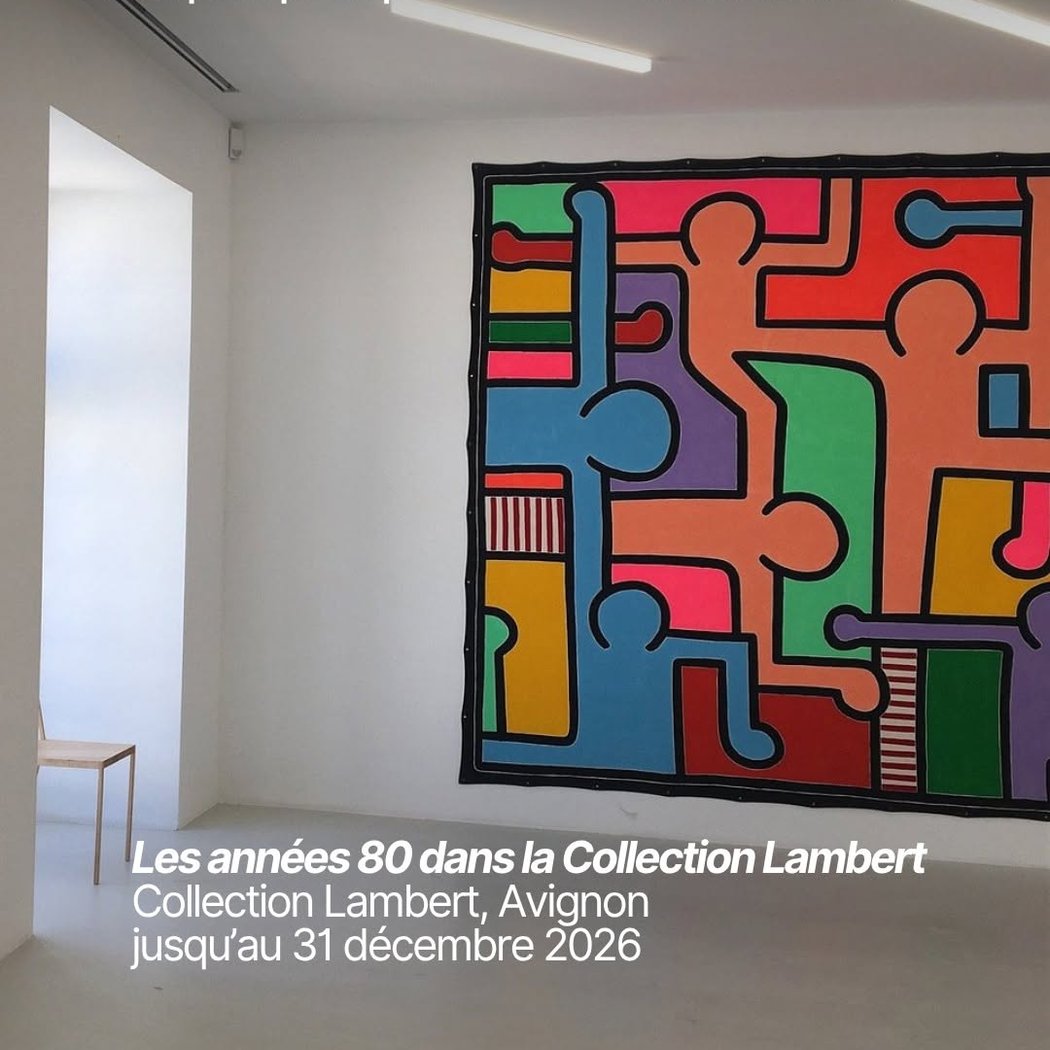 Les années 80 dans la Collection Lambert 1
