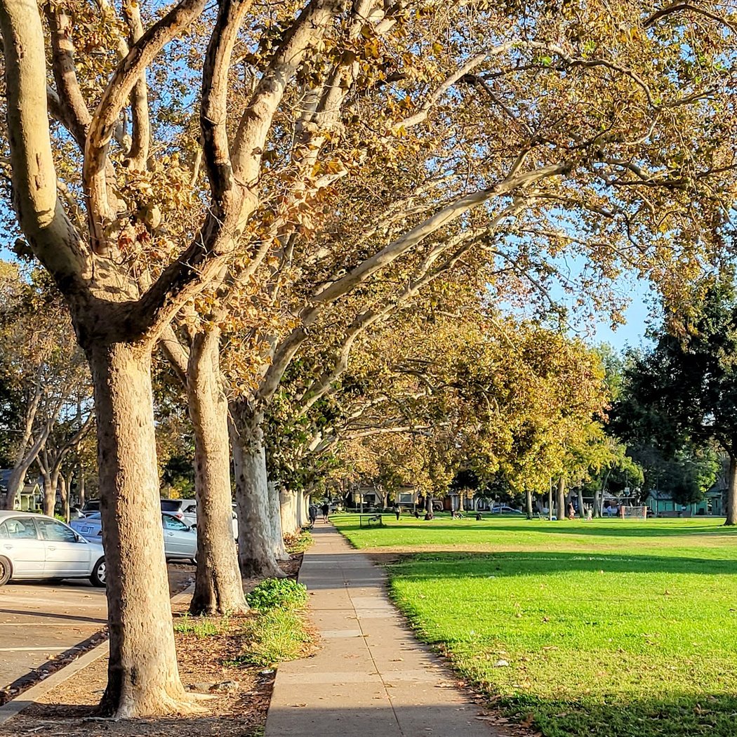 Backesto Park 2