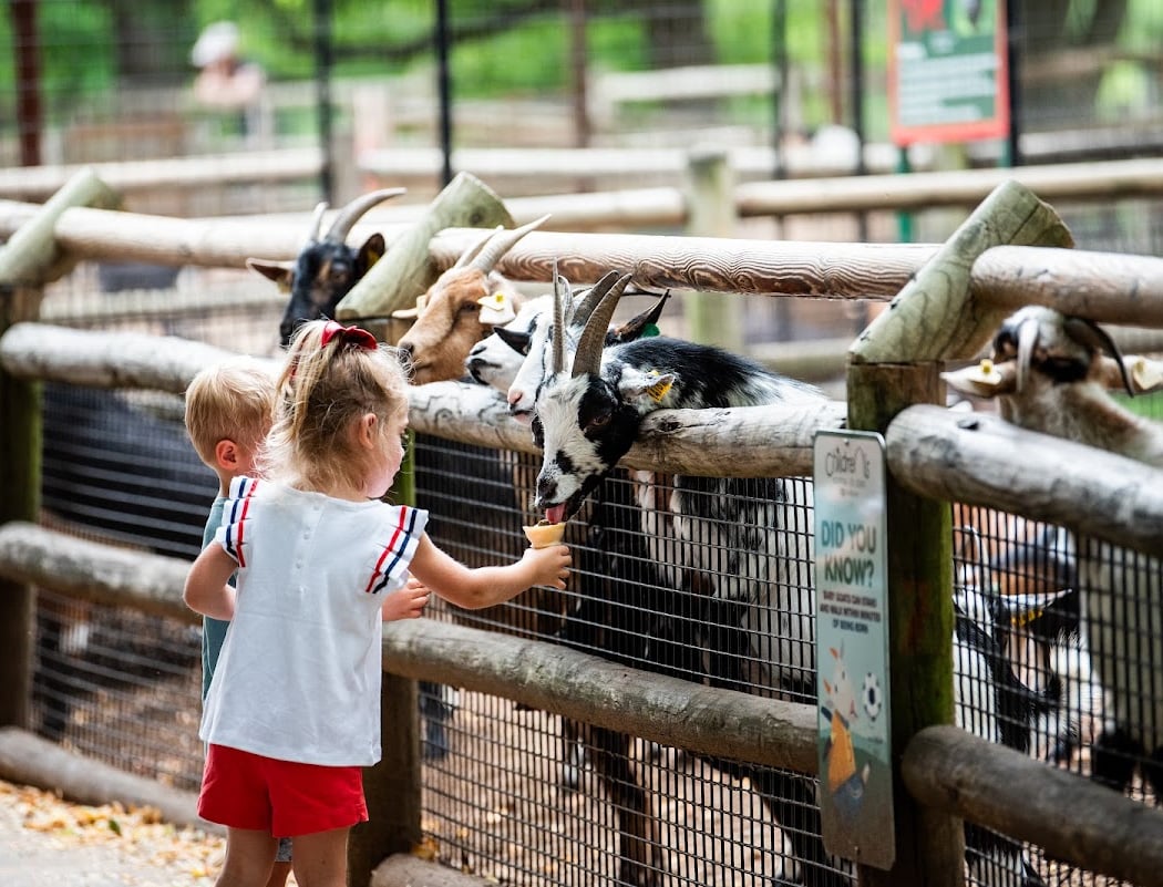 Grant's Farm 1