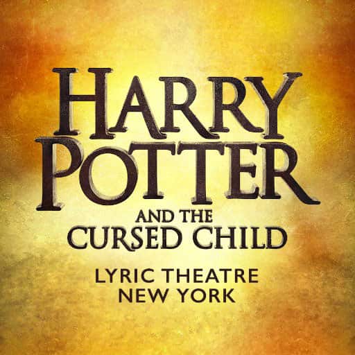 Harry Potter and The Cursed Child 1