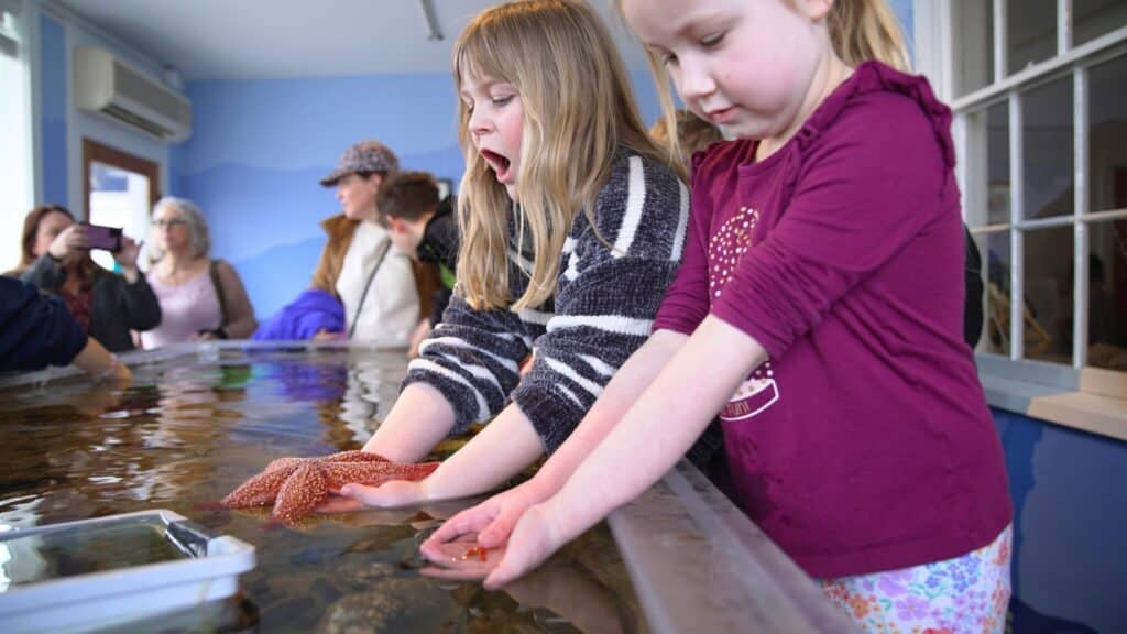 Sea Star Feedings & Touch Tanks Experience 1