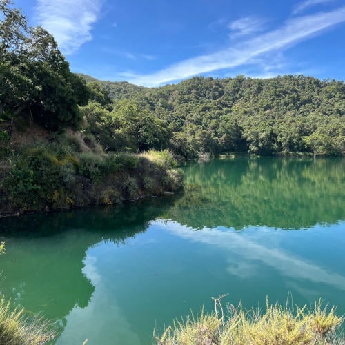 Stevens Creek County Park 1