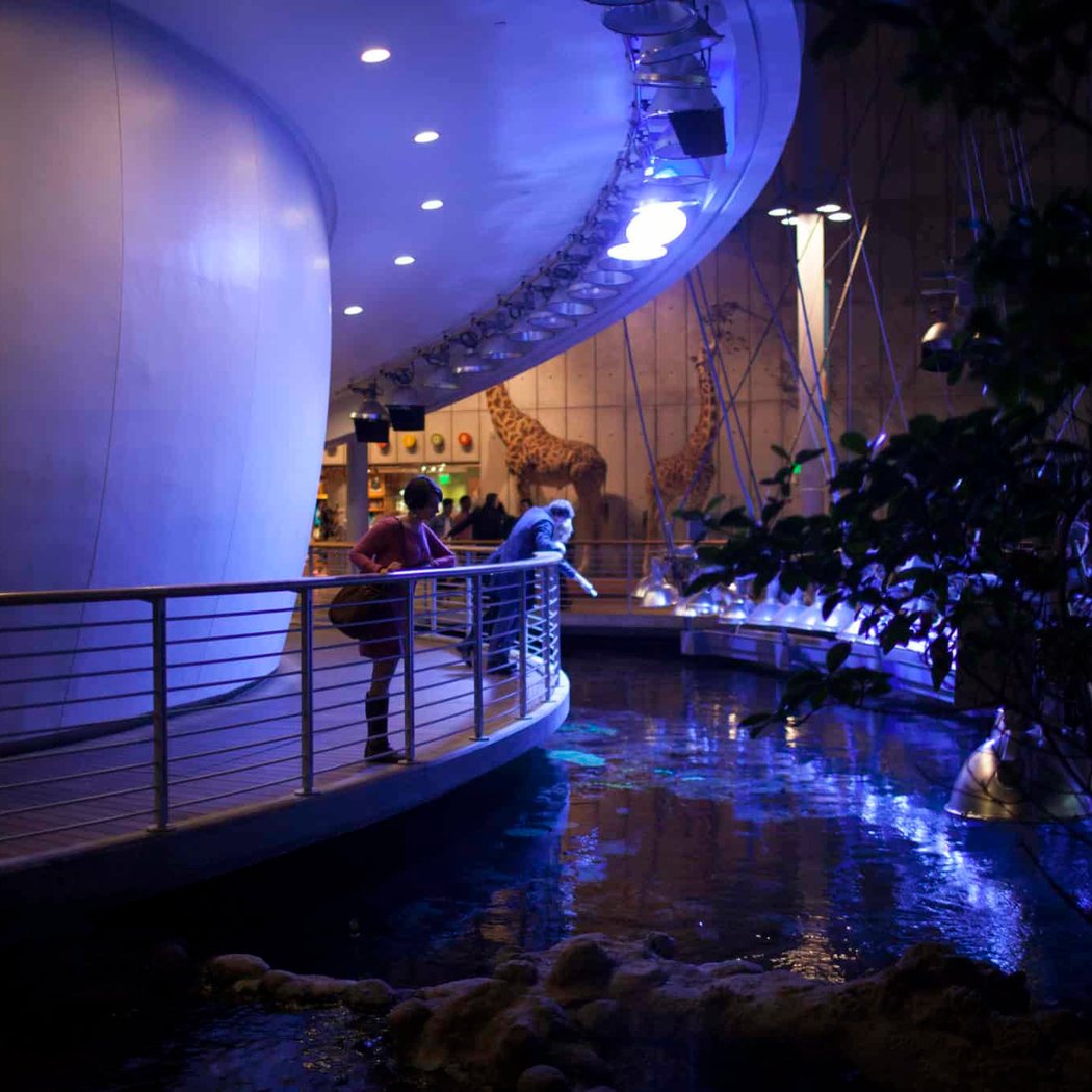 California Academy of Sciences 1